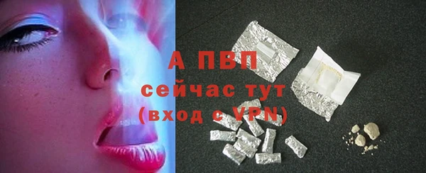 PSILOCYBIN Сафоново