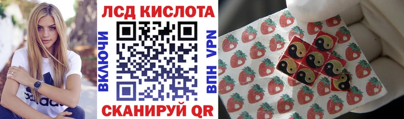 Купить закладки  Нижний Новгород  Марки NBOMe 1,8мг 